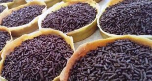 Resep dan Cara Membuat Martabak Mini Manis
