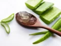 Cara Membuat Krim Malam Lidah Buaya untuk Kulit Halus Cerah Bercahaya