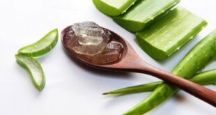 Cara Membuat Krim Malam Lidah Buaya Kulit Cerah Sehat Alami