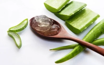 Cara Membuat Krim Malam Lidah Buaya untuk Kulit Halus Cerah Bercahaya