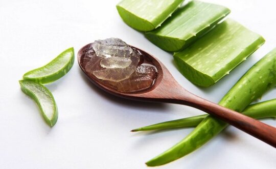 Cara Membuat Krim Malam Lidah Buaya Kulit Cerah Sehat Alami