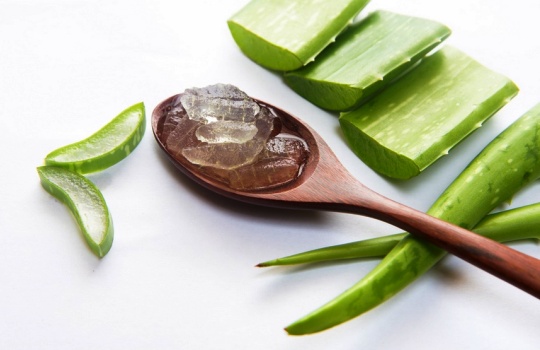 Cara Membuat Krim Malam Lidah Buaya untuk Kulit Halus Cerah Bercahaya