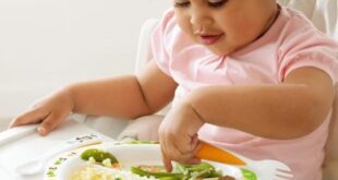 Berbagai Jenis Makanan Anak 1 Tahun untuk Mencukupi Kebutuhan Nutrisi Hariannya