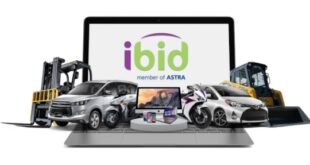 Kenapa Beli Mobil Bekas Harus di IBID