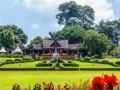 8 Spot Kece di Kebun Raya Bogor