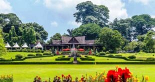 Spot Kece di Kebun Raya Bogor
