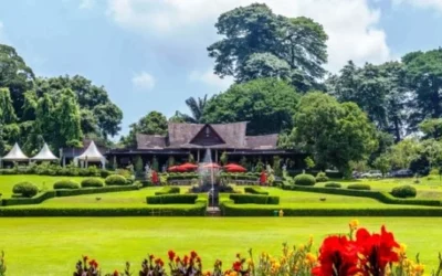 8 Spot Kece di Kebun Raya Bogor