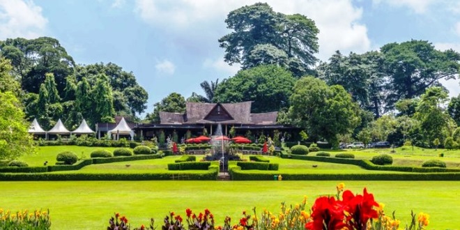 8 Spot Kece di Kebun Raya Bogor